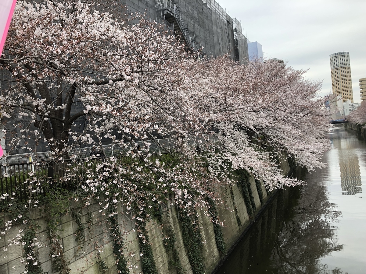 f:id:hideki-sansho:20190329155714j:plain f:id:hideki-sansho:20190329155714j:plain
