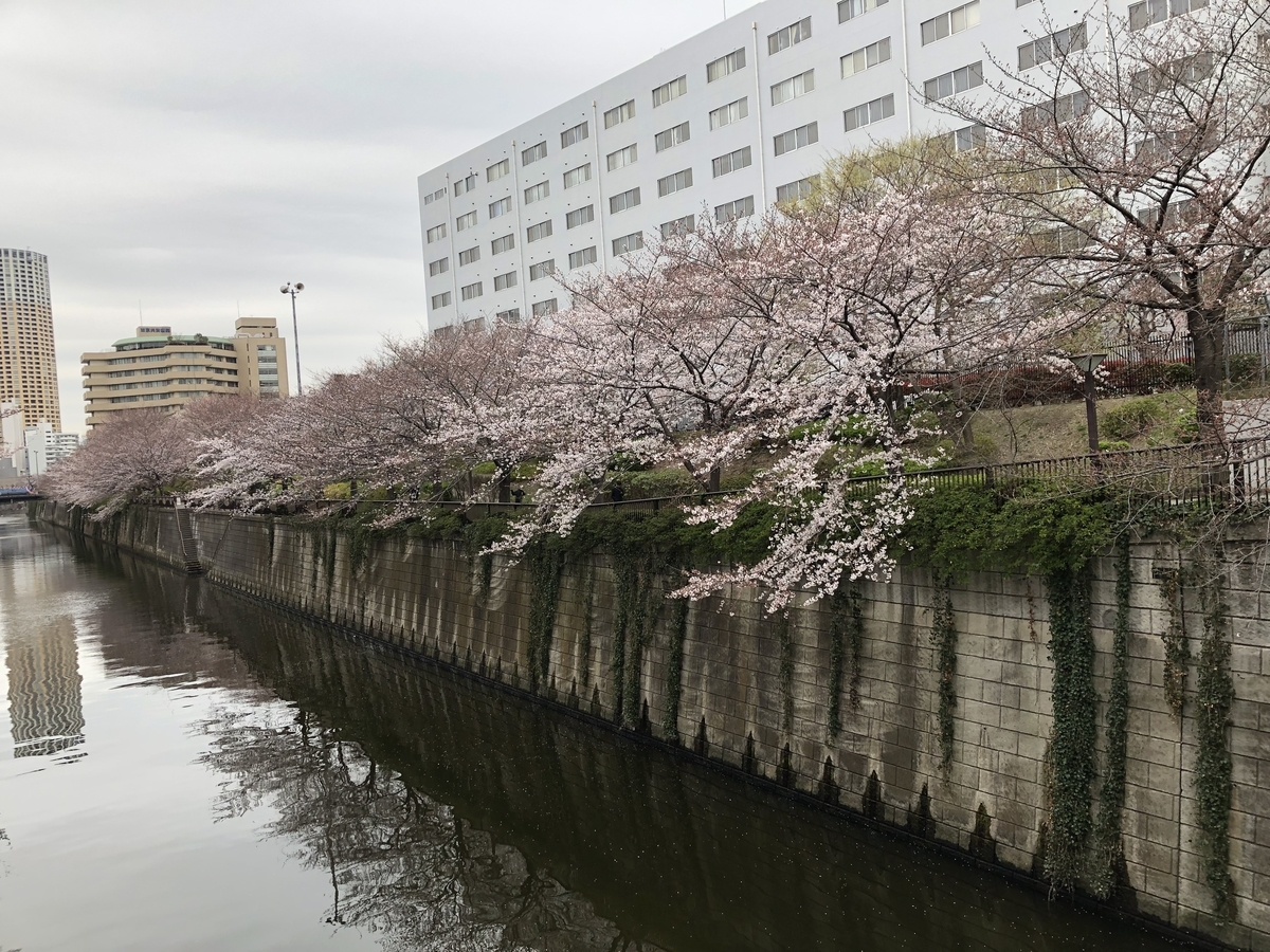 f:id:hideki-sansho:20190329155732j:plain f:id:hideki-sansho:20190329155732j:plain