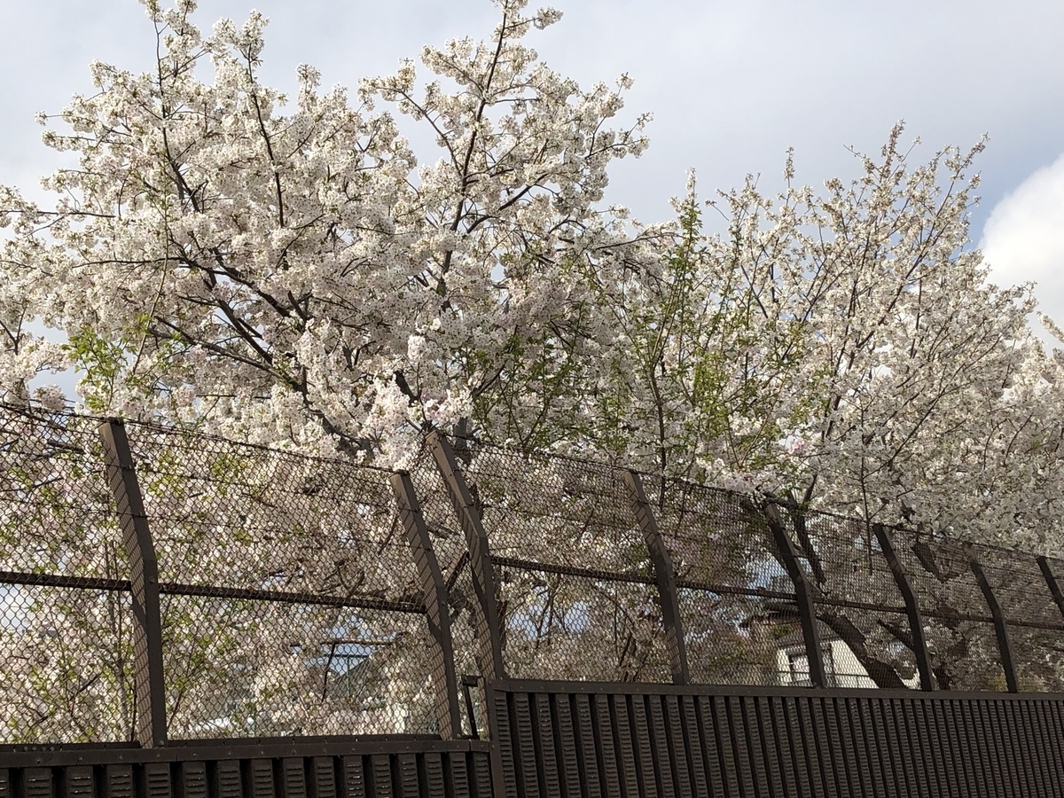 f:id:hideki-sansho:20190402203101j:plain