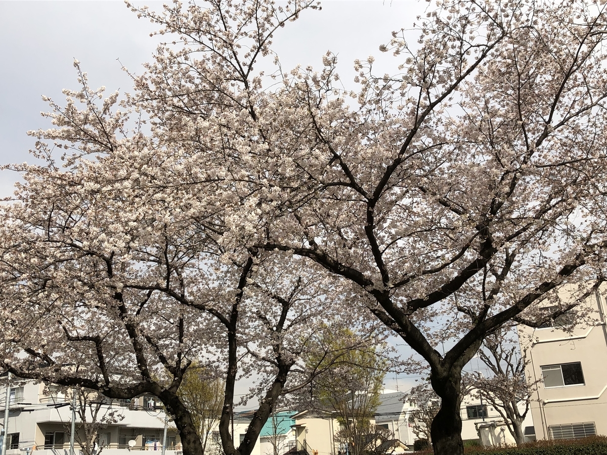 f:id:hideki-sansho:20190402203122j:plain