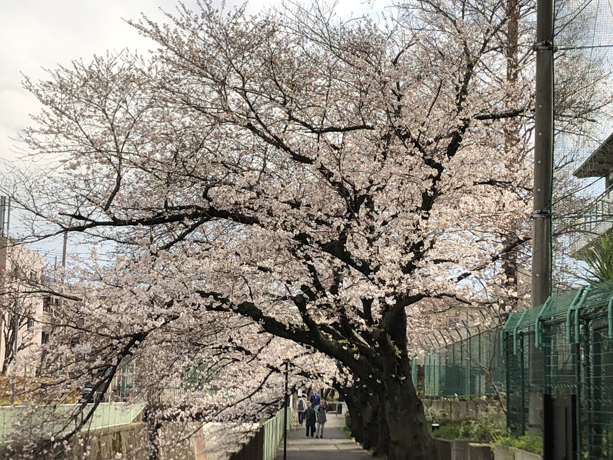 f:id:hideki-sansho:20190402203137j:plain
