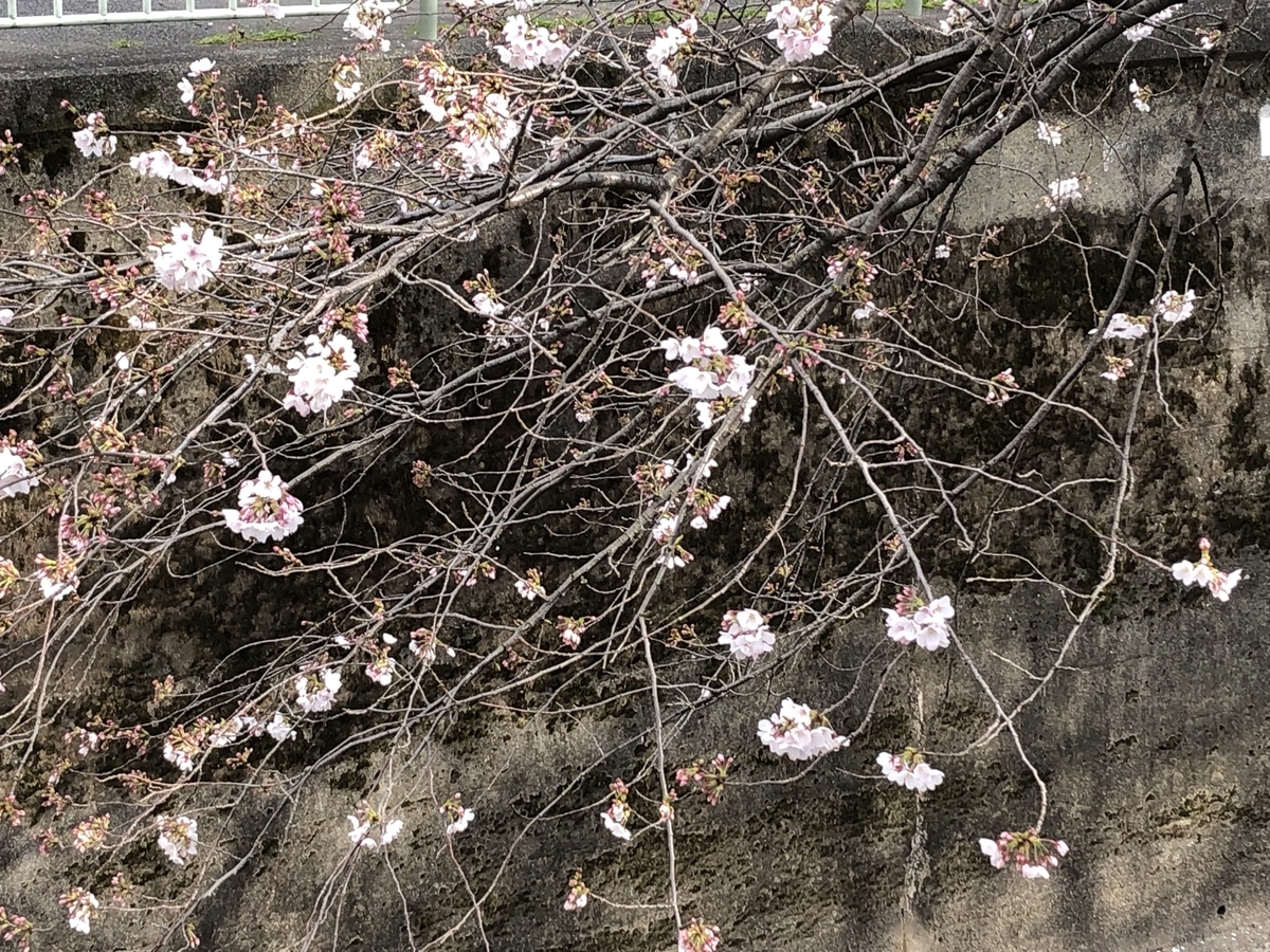 f:id:hideki-sansho:20190402203151j:plain