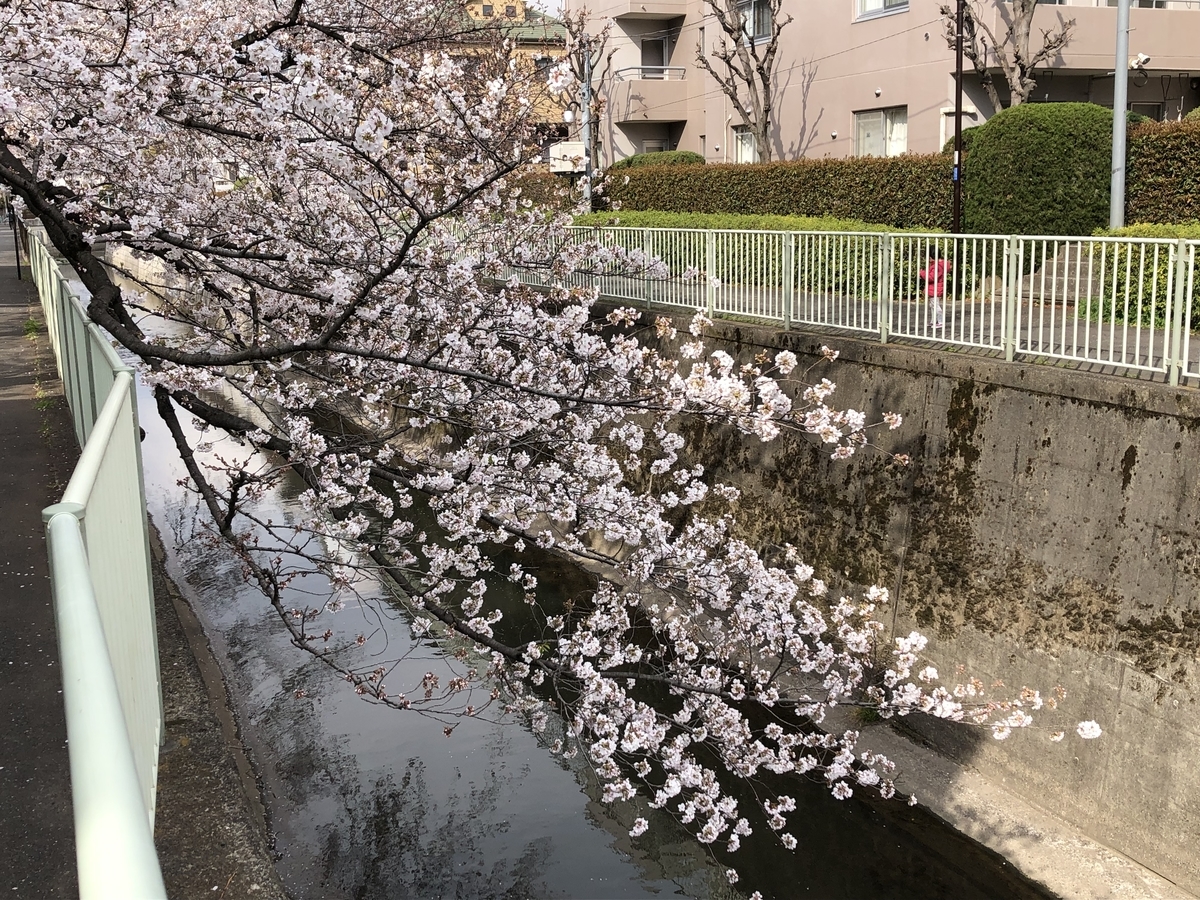 f:id:hideki-sansho:20190402203207j:plain