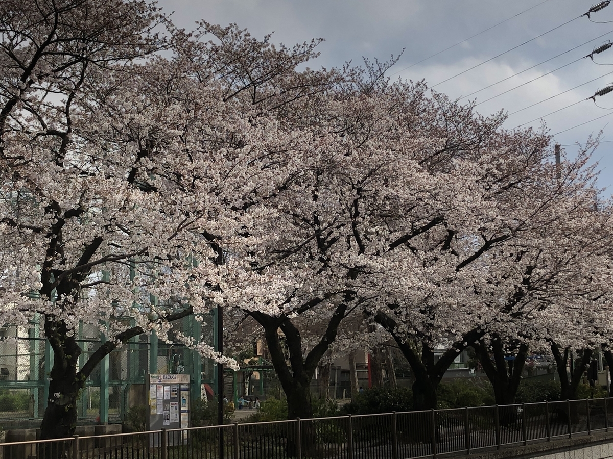 f:id:hideki-sansho:20190402203256j:plain