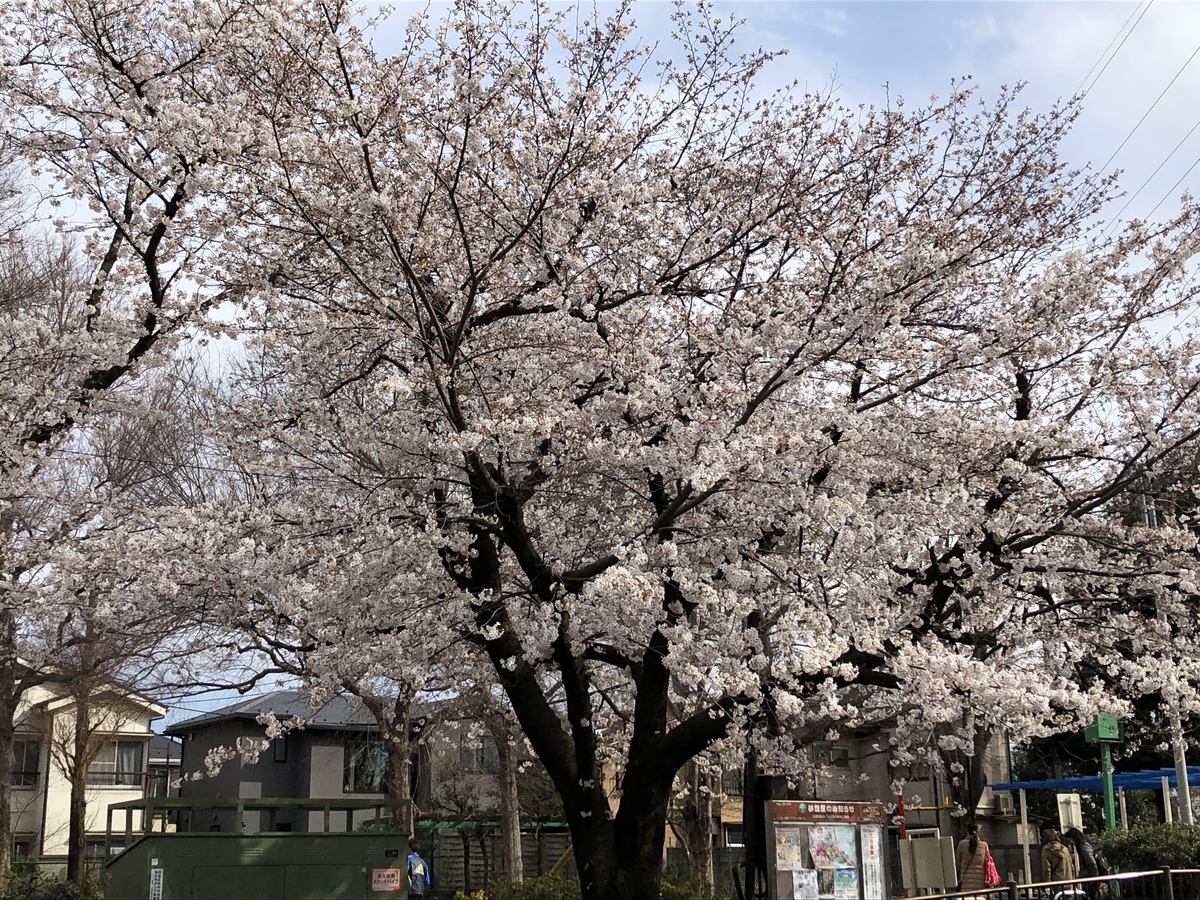 f:id:hideki-sansho:20190402203329j:plain