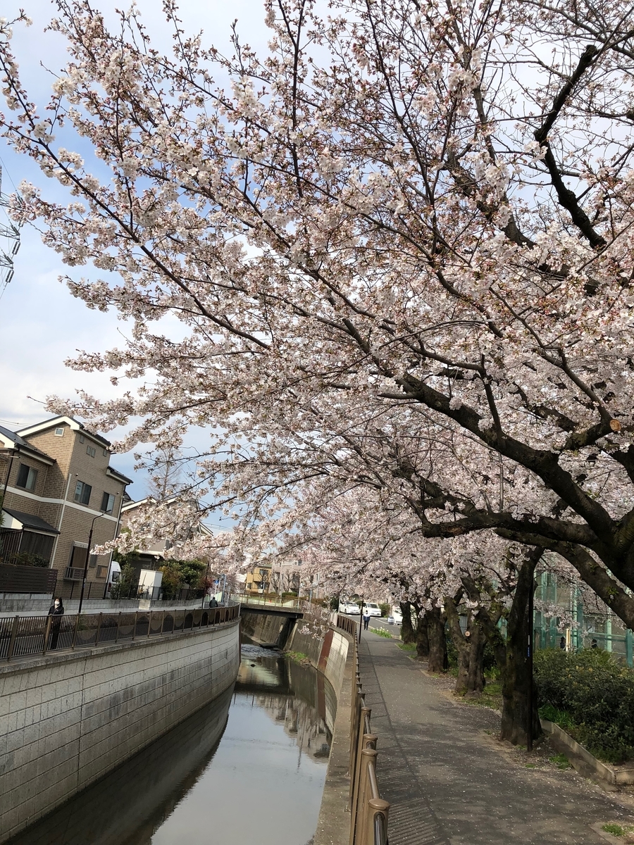 f:id:hideki-sansho:20190402203347j:plain