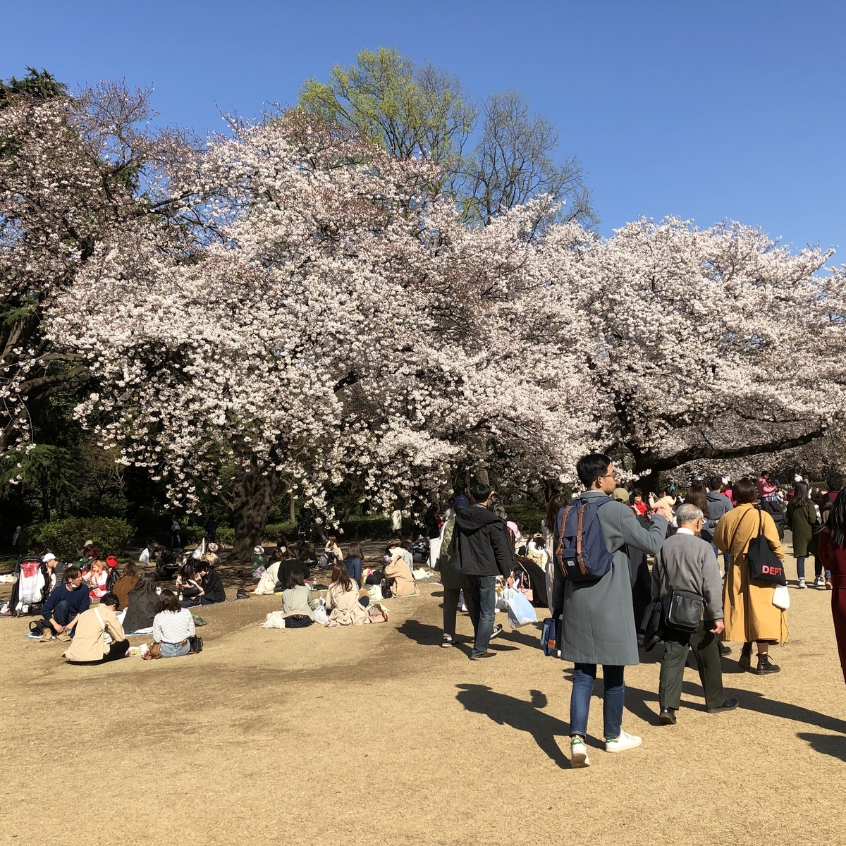 f:id:hideki-sansho:20190404194611j:plain f:id:hideki-sansho:20190404194611j:plain