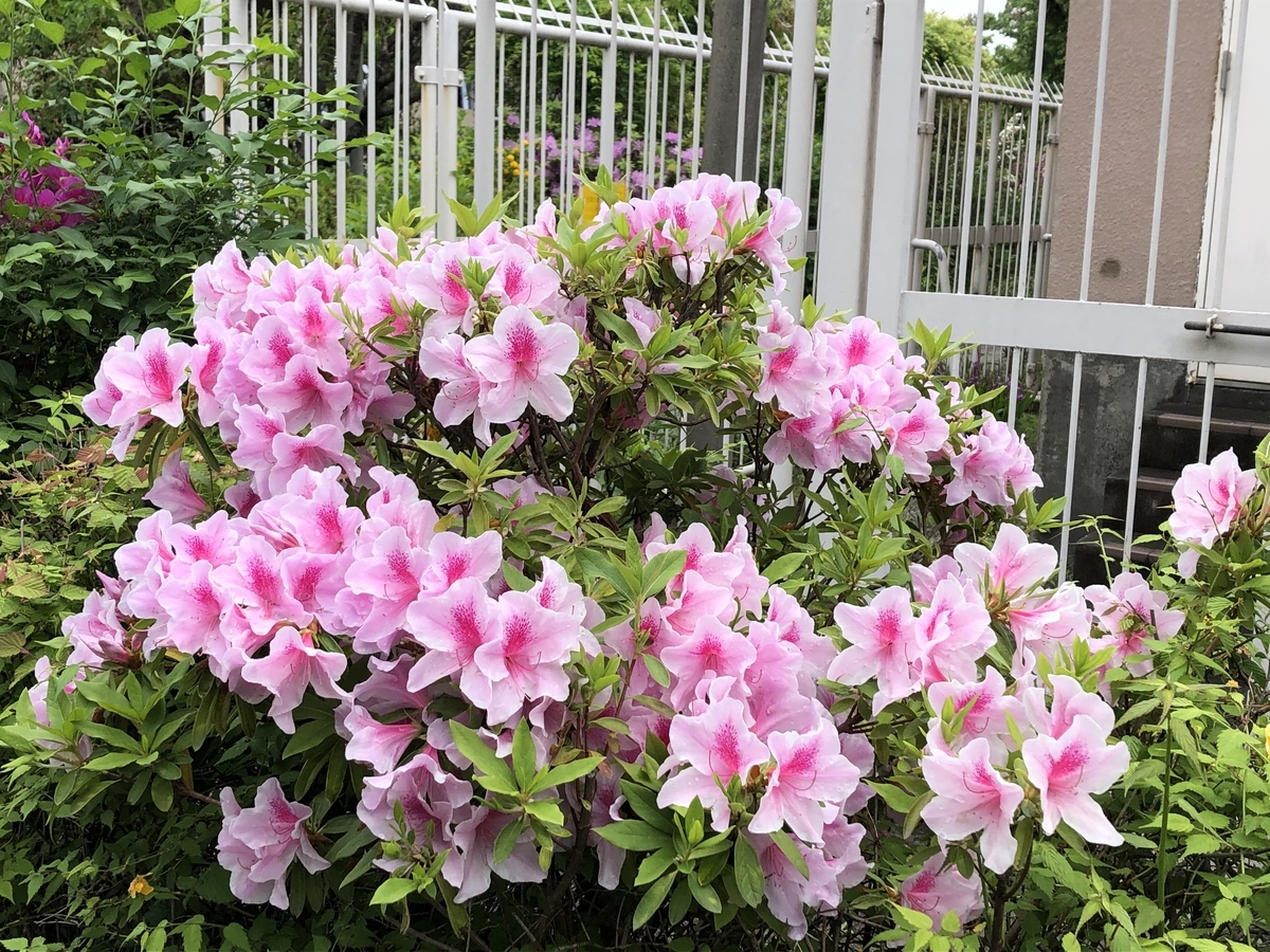 f:id:hideki-sansho:20190427202625j:plain