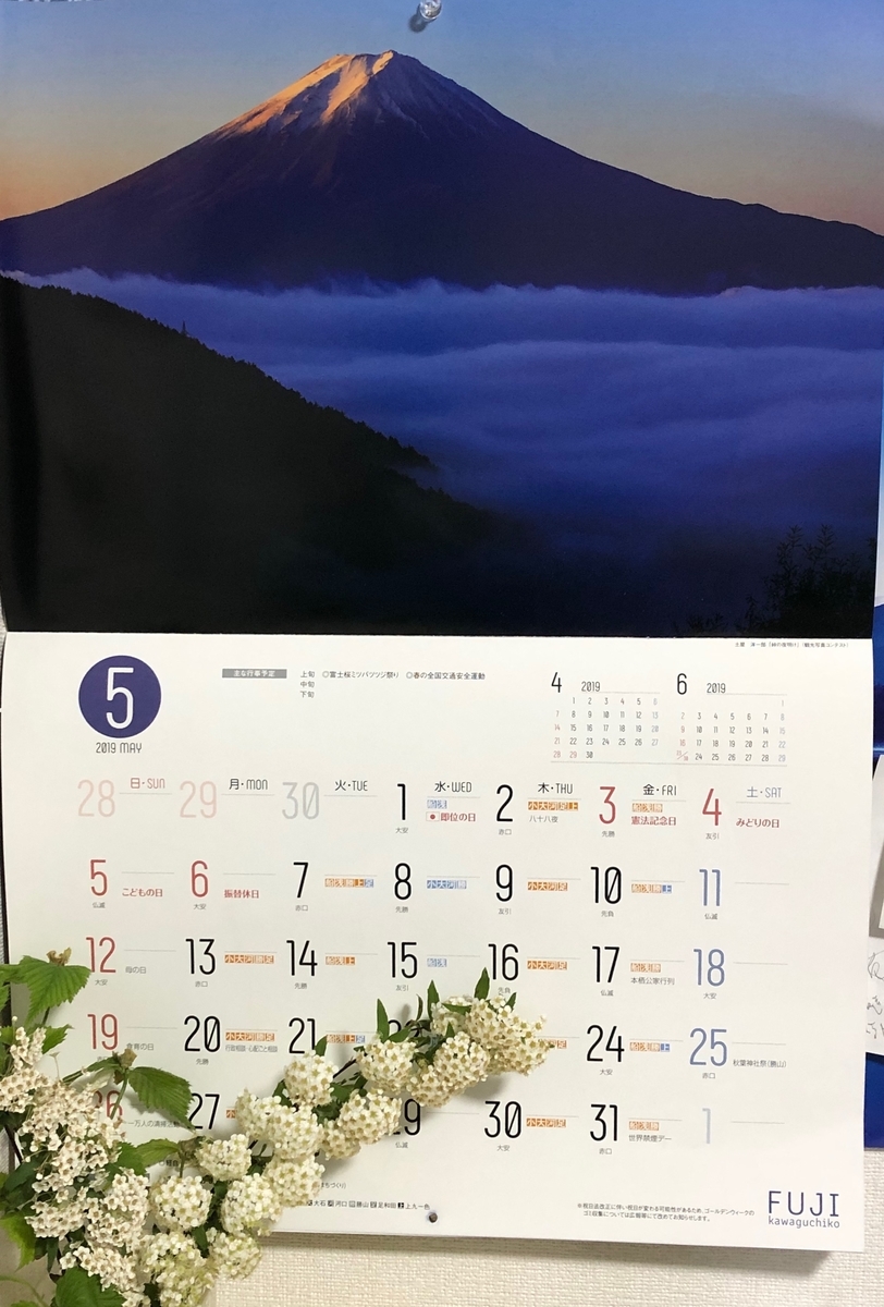 康頁求之　明治十八年　盆栽鉢　丸 康頁求之 明治十八年 盆栽鉢 丸 8号鉢(幅24～