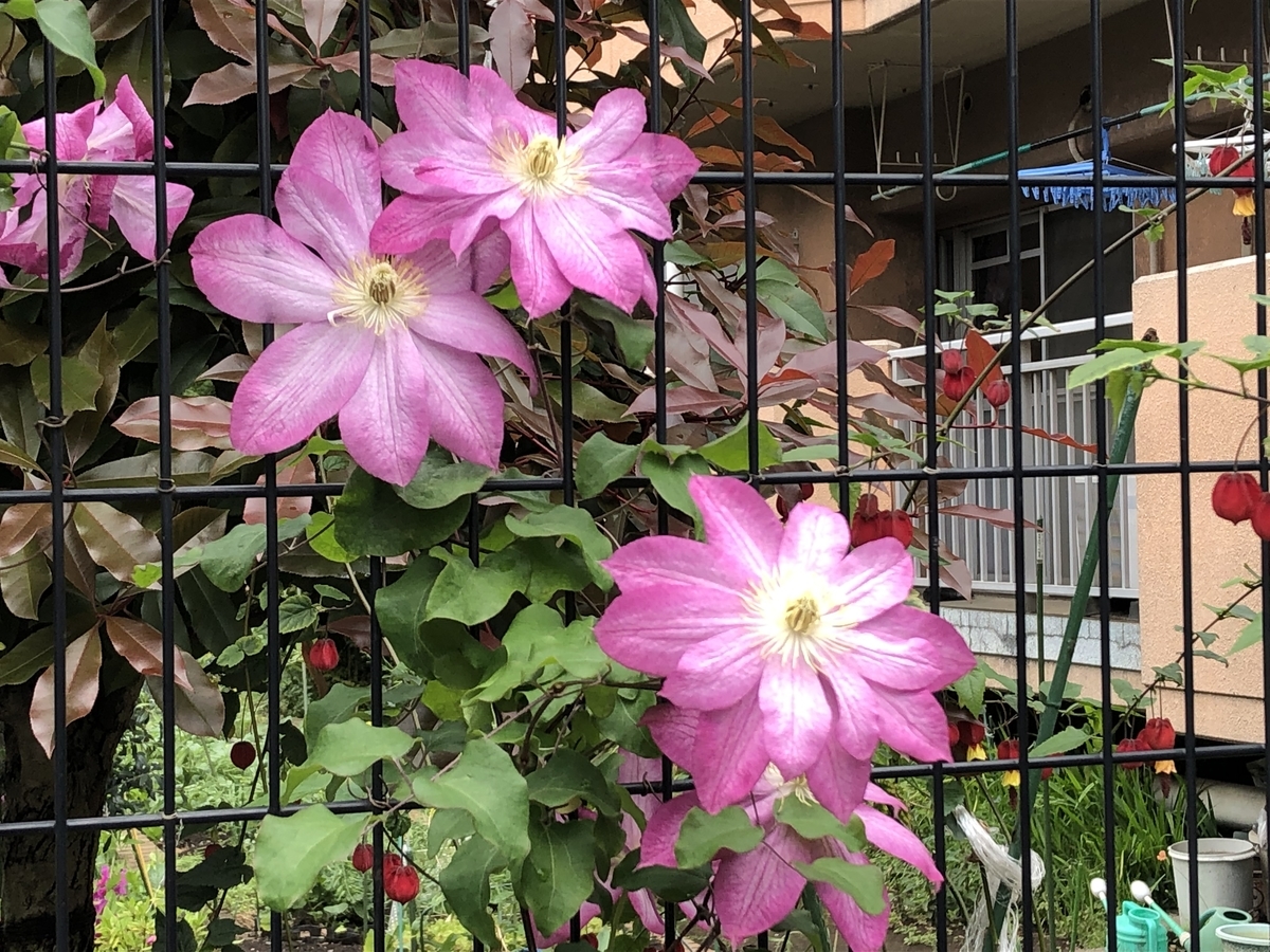 f:id:hideki-sansho:20190503153456j:plain