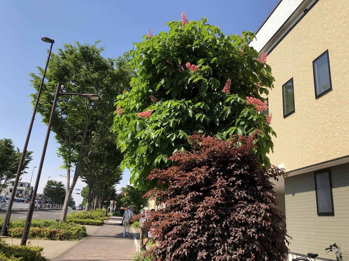 f:id:hideki-sansho:20190512205113j:plain f:id:hideki-sansho:20190512205113j:plain