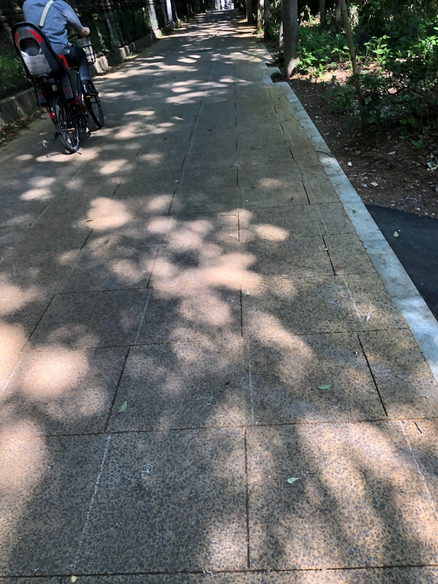 f:id:hideki-sansho:20190512205417j:plain f:id:hideki-sansho:20190512205417j:plain