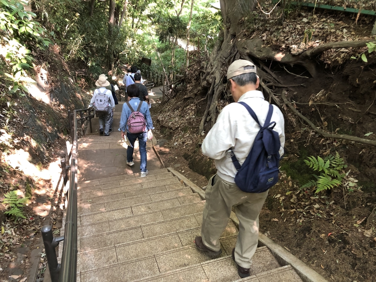 f:id:hideki-sansho:20190512205500j:plain f:id:hideki-sansho:20190512205500j:plain