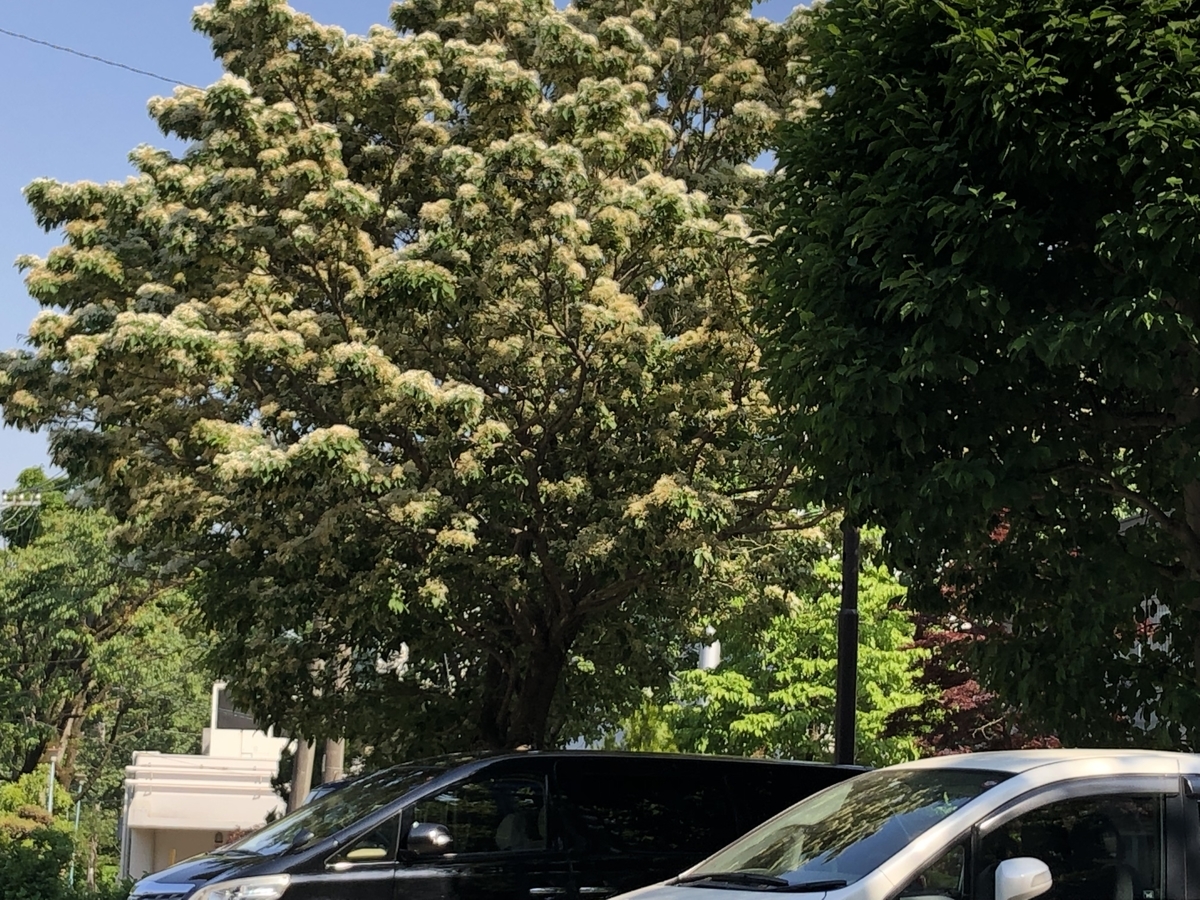 f:id:hideki-sansho:20190512205558j:plain f:id:hideki-sansho:20190512205558j:plain
