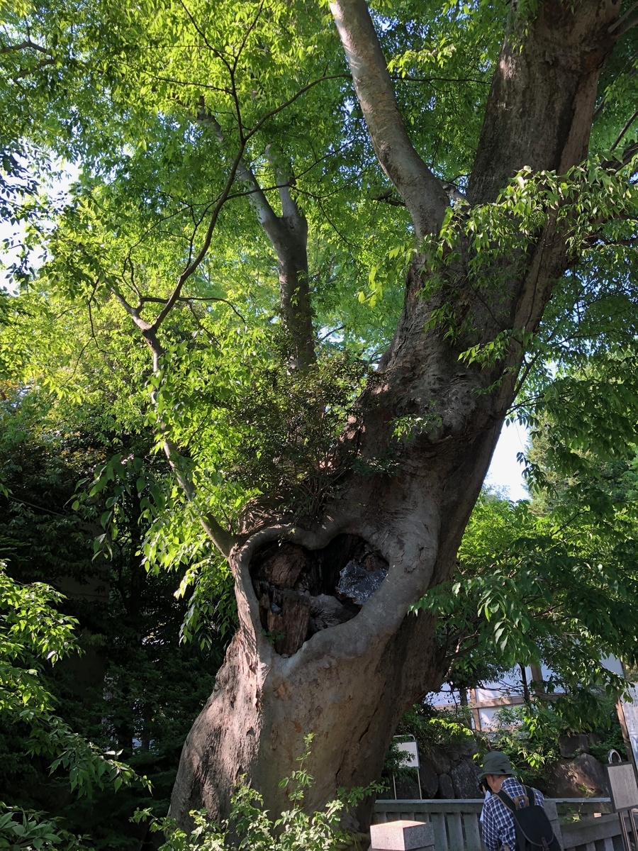 f:id:hideki-sansho:20190512205648j:plain f:id:hideki-sansho:20190512205648j:plain