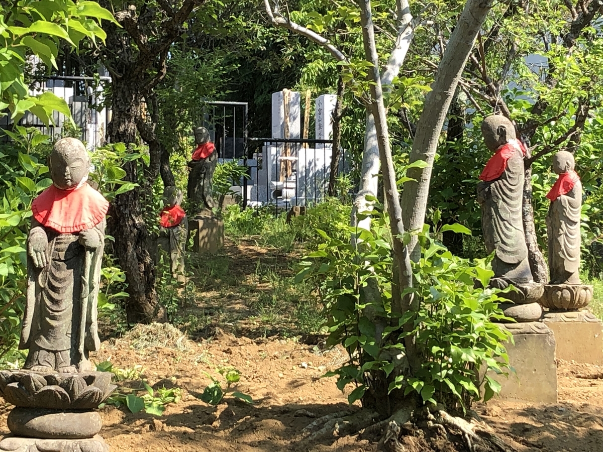 f:id:hideki-sansho:20190512213321j:plain f:id:hideki-sansho:20190512213321j:plain
