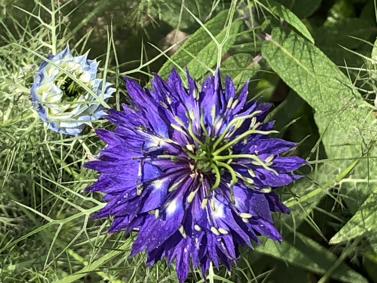 f:id:hideki-sansho:20190529180923j:plain f:id:hideki-sansho:20190529180923j:plain