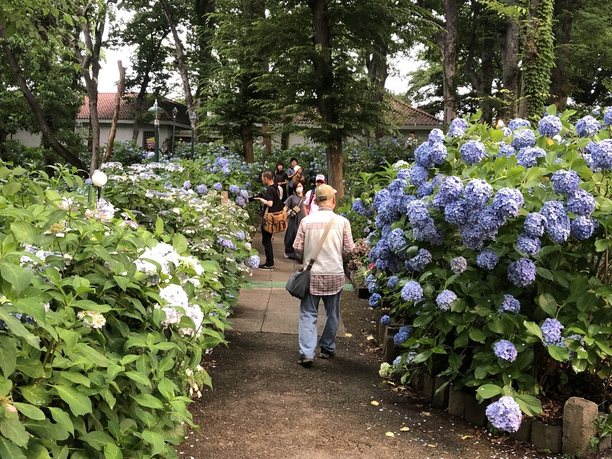 f:id:hideki-sansho:20190624133209j:plain f:id:hideki-sansho:20190624133209j:plain