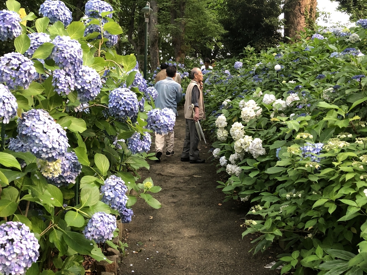 f:id:hideki-sansho:20190624133233j:plain f:id:hideki-sansho:20190624133233j:plain