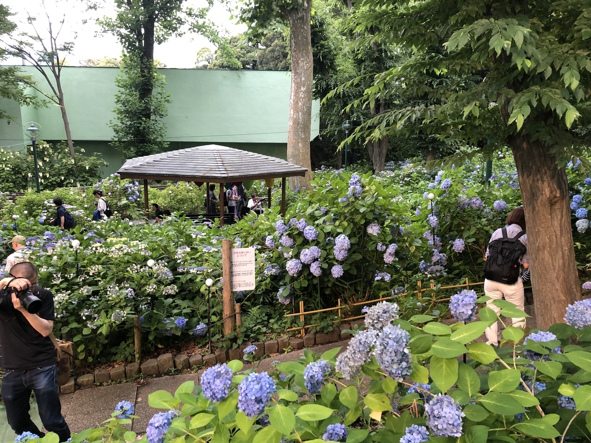 f:id:hideki-sansho:20190624133258j:plain f:id:hideki-sansho:20190624133258j:plain