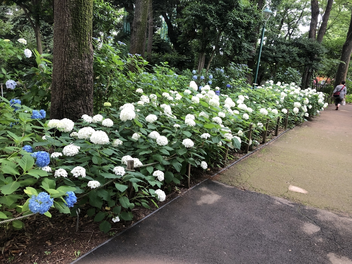 f:id:hideki-sansho:20190624133429j:plain f:id:hideki-sansho:20190624133429j:plain