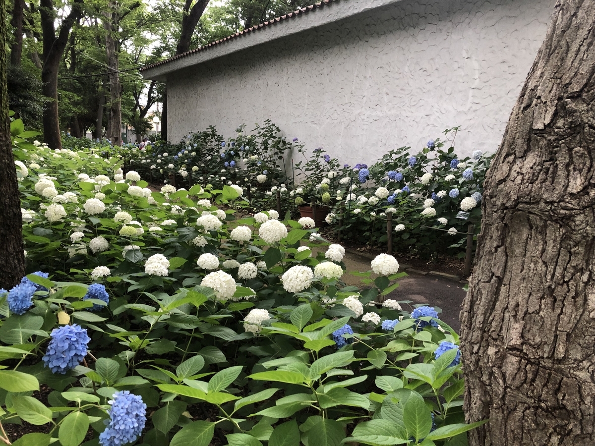 f:id:hideki-sansho:20190624133441j:plain f:id:hideki-sansho:20190624133441j:plain