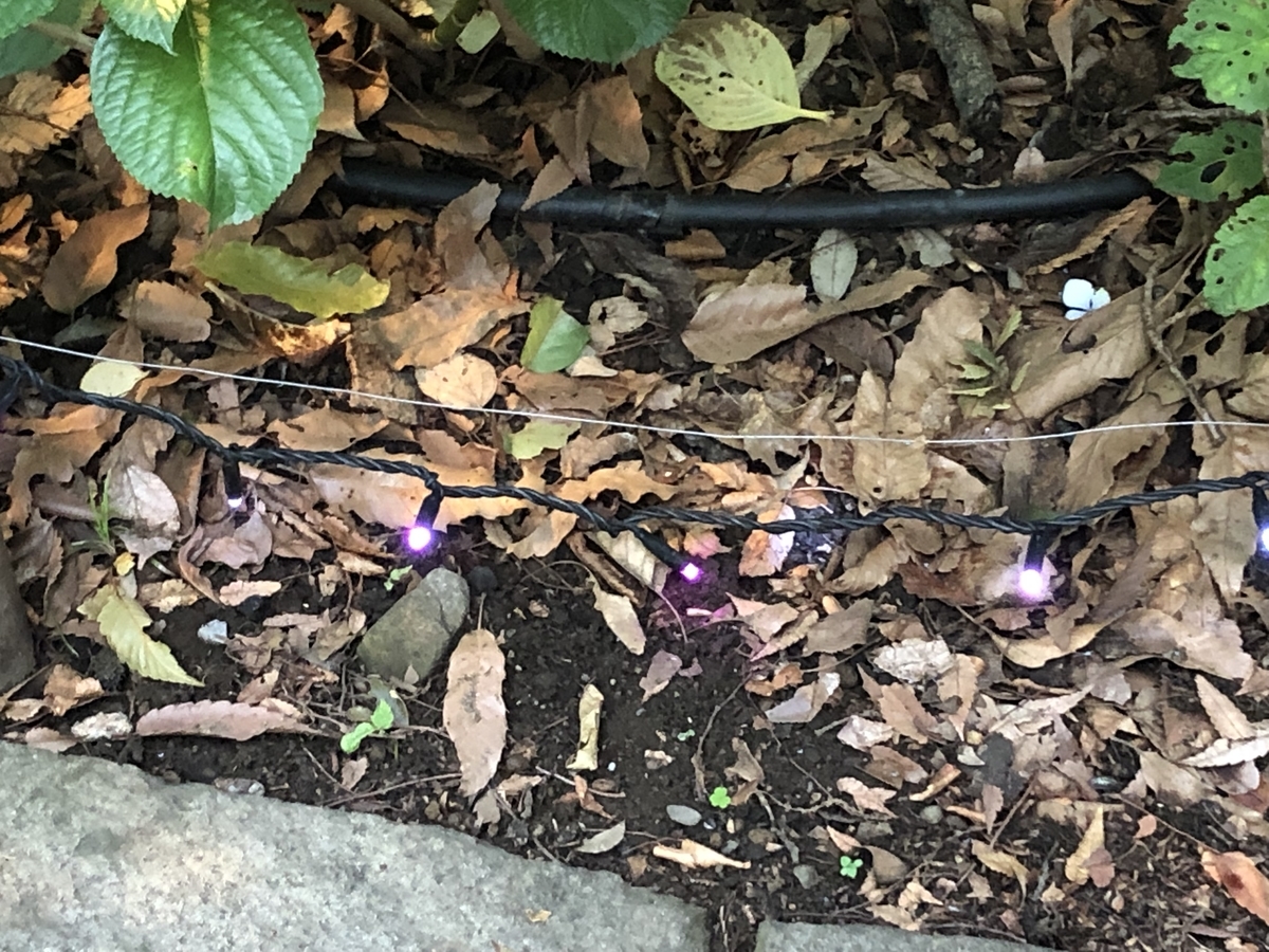 f:id:hideki-sansho:20190624134533j:plain f:id:hideki-sansho:20190624134533j:plain