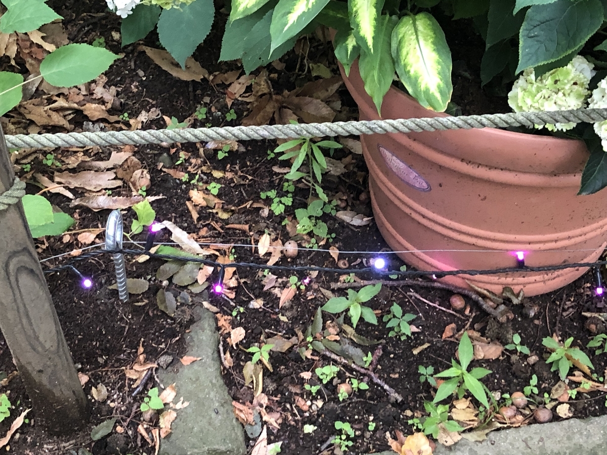 f:id:hideki-sansho:20190624134558j:plain f:id:hideki-sansho:20190624134558j:plain