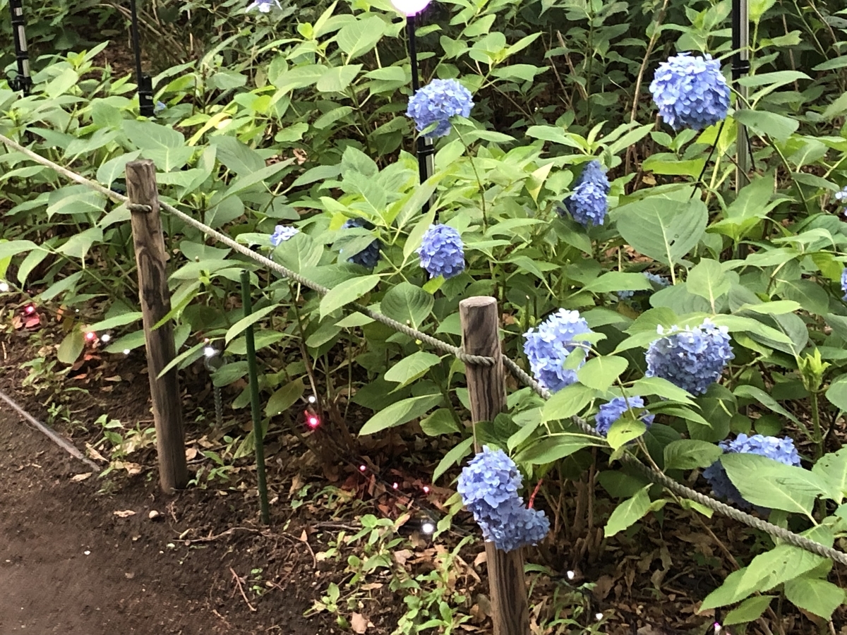 f:id:hideki-sansho:20190624134736j:plain f:id:hideki-sansho:20190624134736j:plain