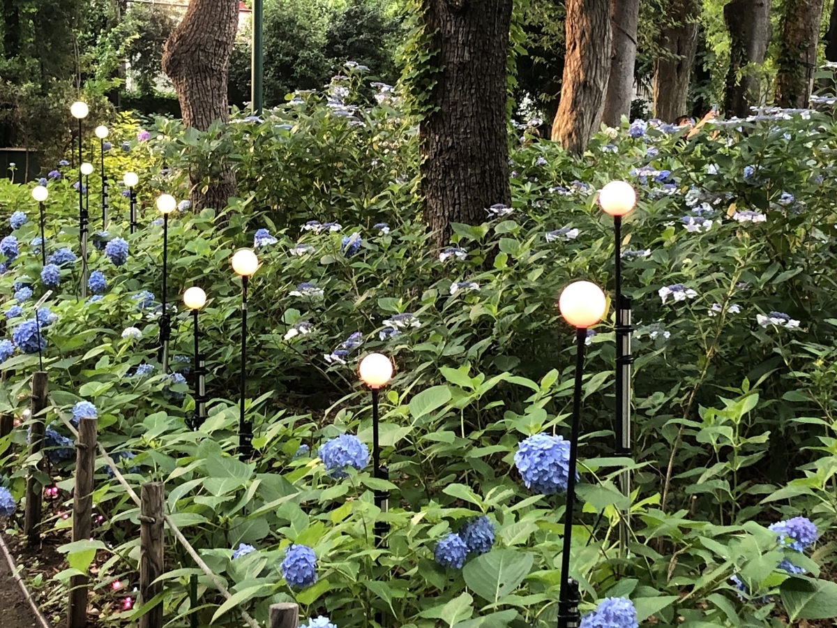 f:id:hideki-sansho:20190624134908j:plain f:id:hideki-sansho:20190624134908j:plain