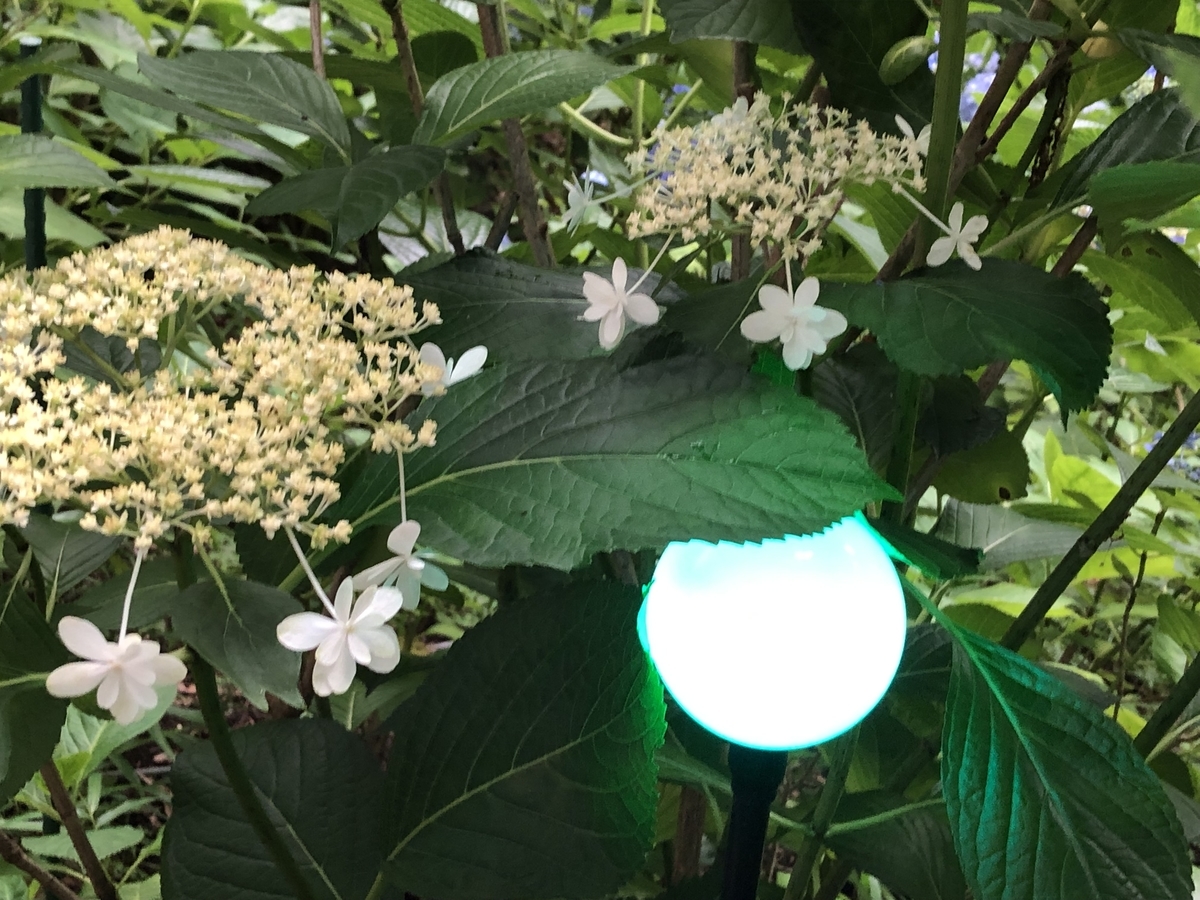 f:id:hideki-sansho:20190624135316j:plain f:id:hideki-sansho:20190624135316j:plain