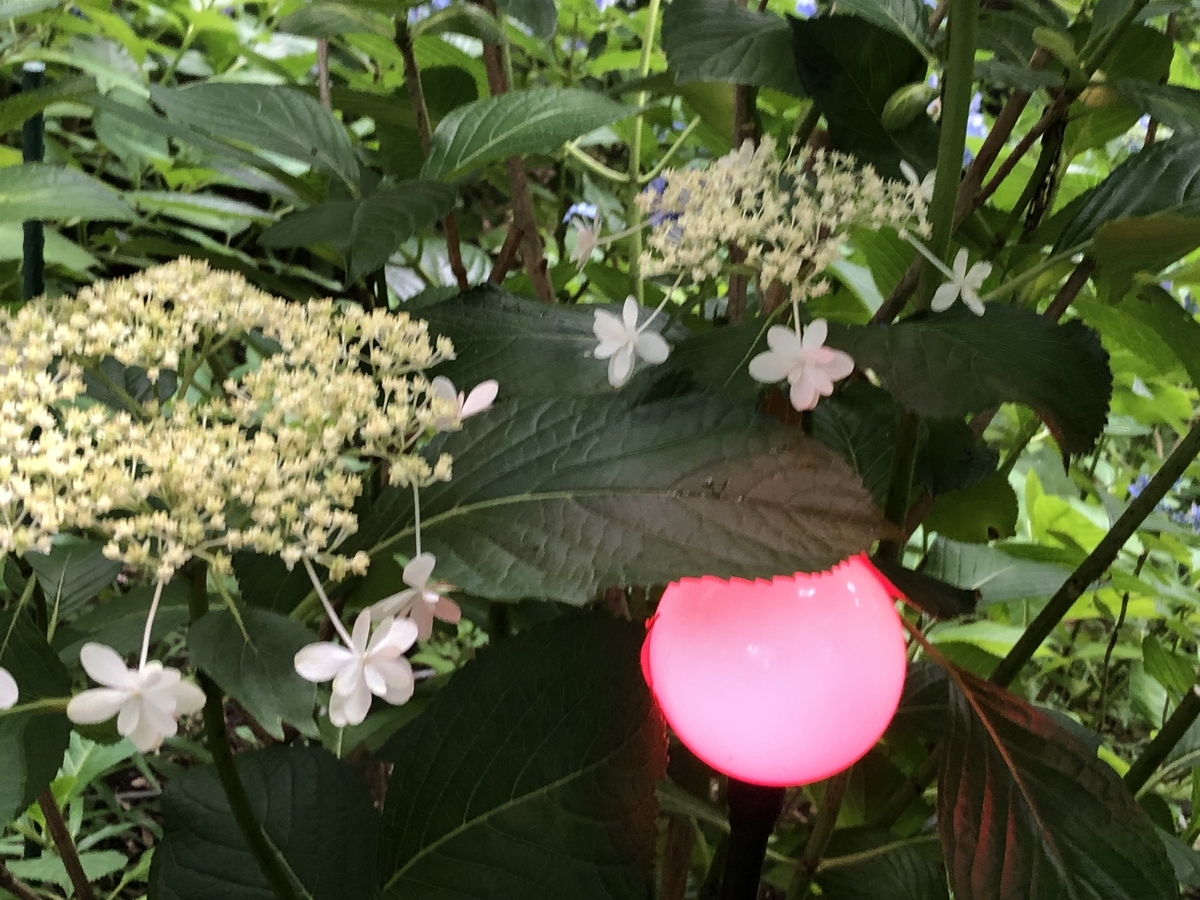 f:id:hideki-sansho:20190624135327j:plain f:id:hideki-sansho:20190624135327j:plain