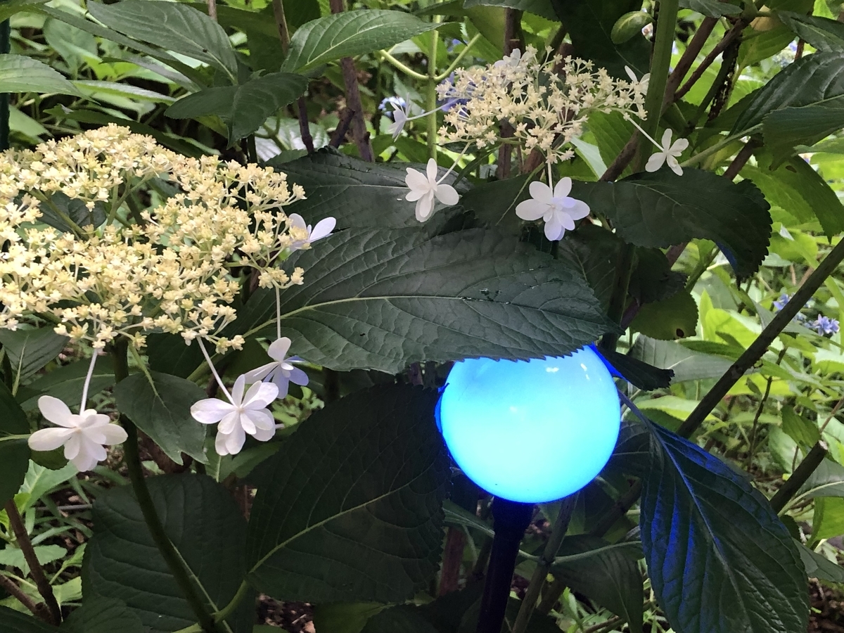 f:id:hideki-sansho:20190624135338j:plain f:id:hideki-sansho:20190624135338j:plain