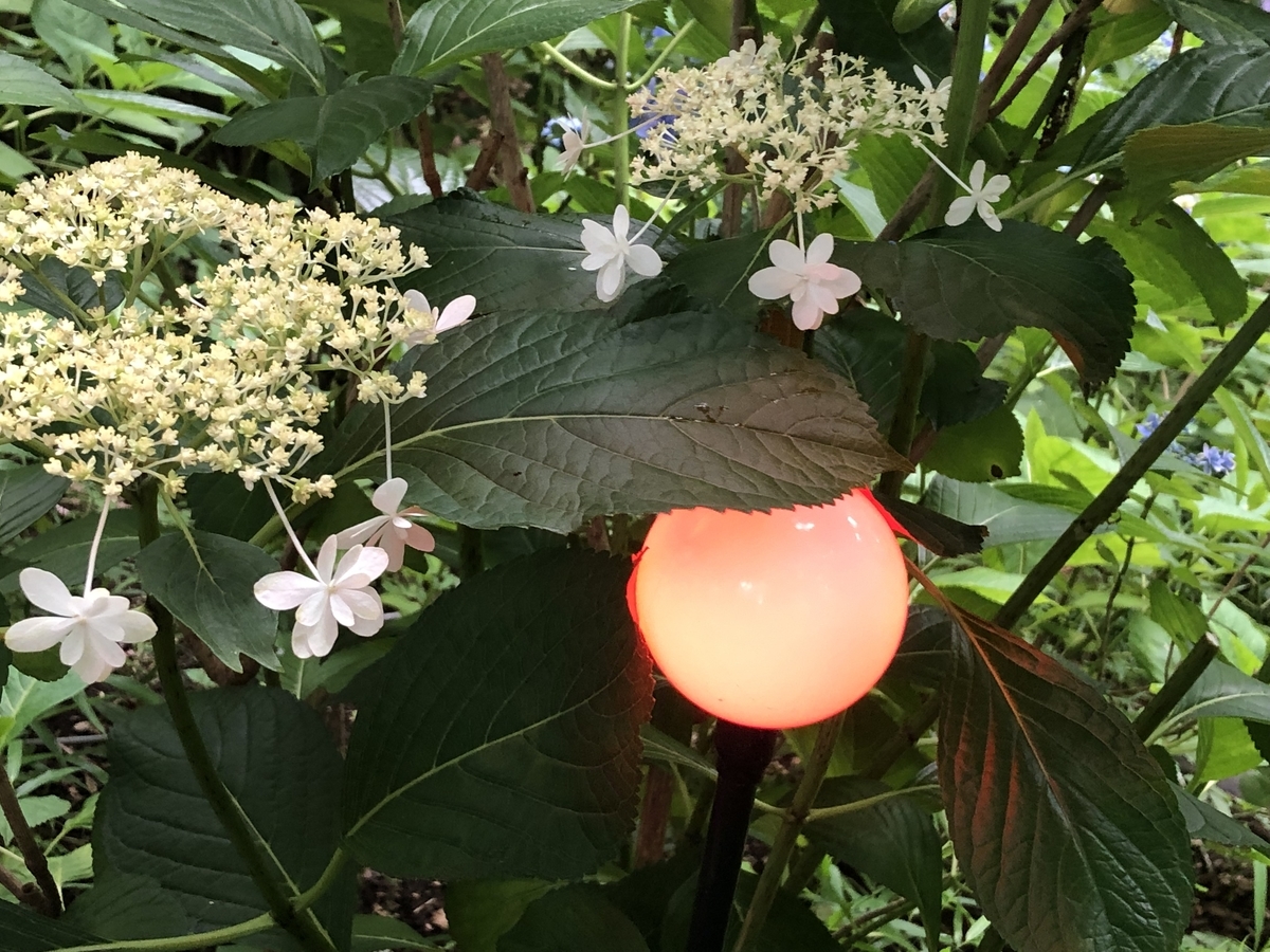 f:id:hideki-sansho:20190624135349j:plain f:id:hideki-sansho:20190624135349j:plain