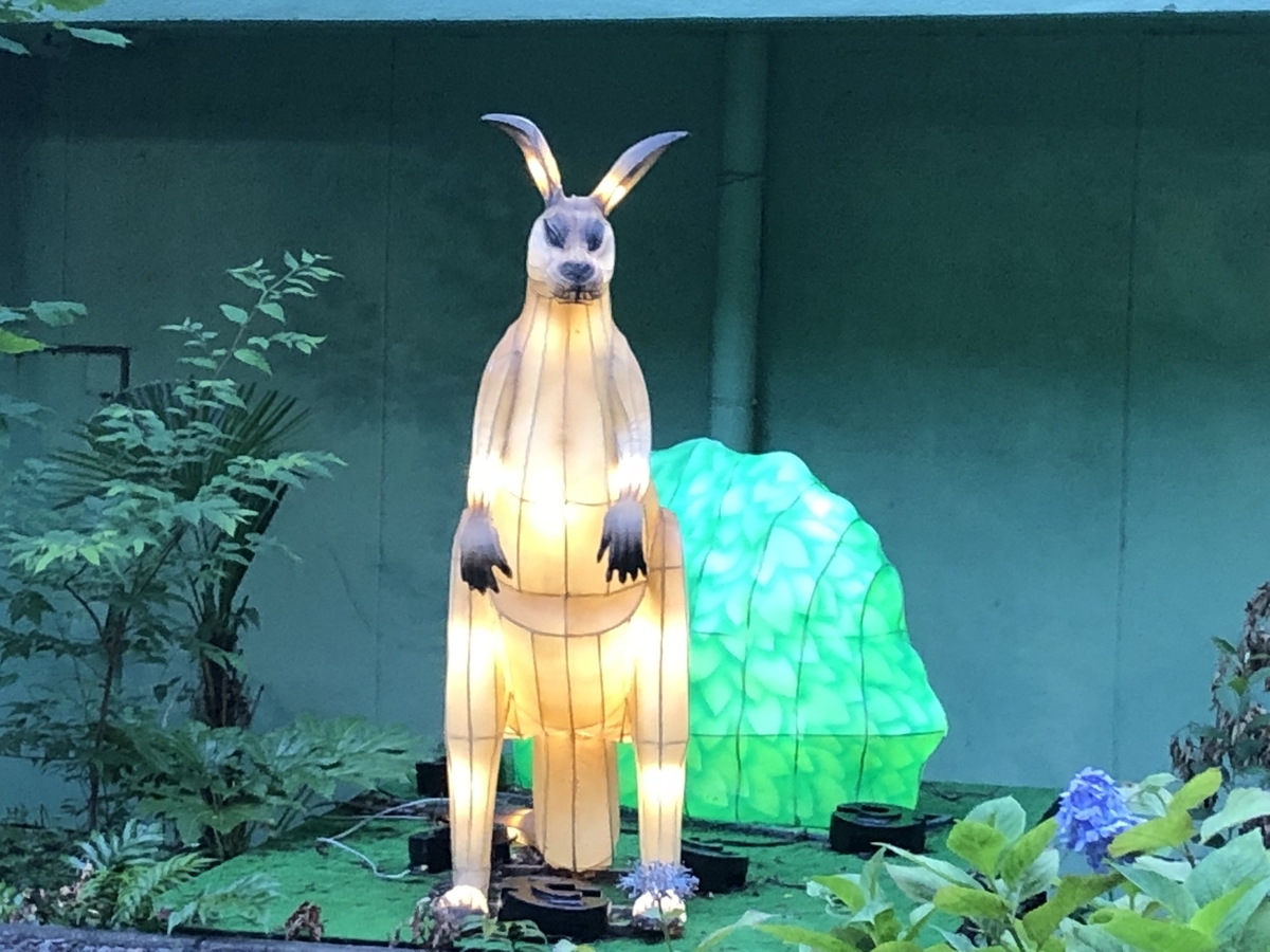 f:id:hideki-sansho:20190624140021j:plain f:id:hideki-sansho:20190624140021j:plain