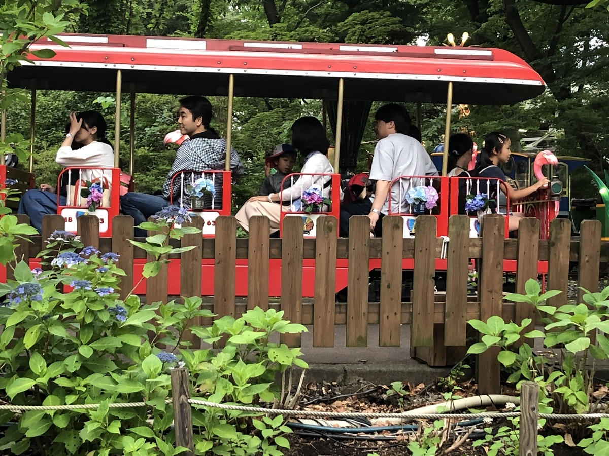 f:id:hideki-sansho:20190624140220j:plain f:id:hideki-sansho:20190624140220j:plain