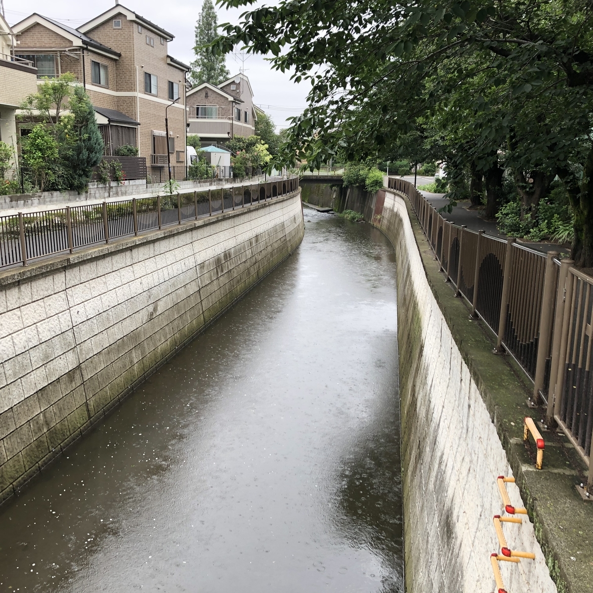 f:id:hideki-sansho:20190630204351j:plain