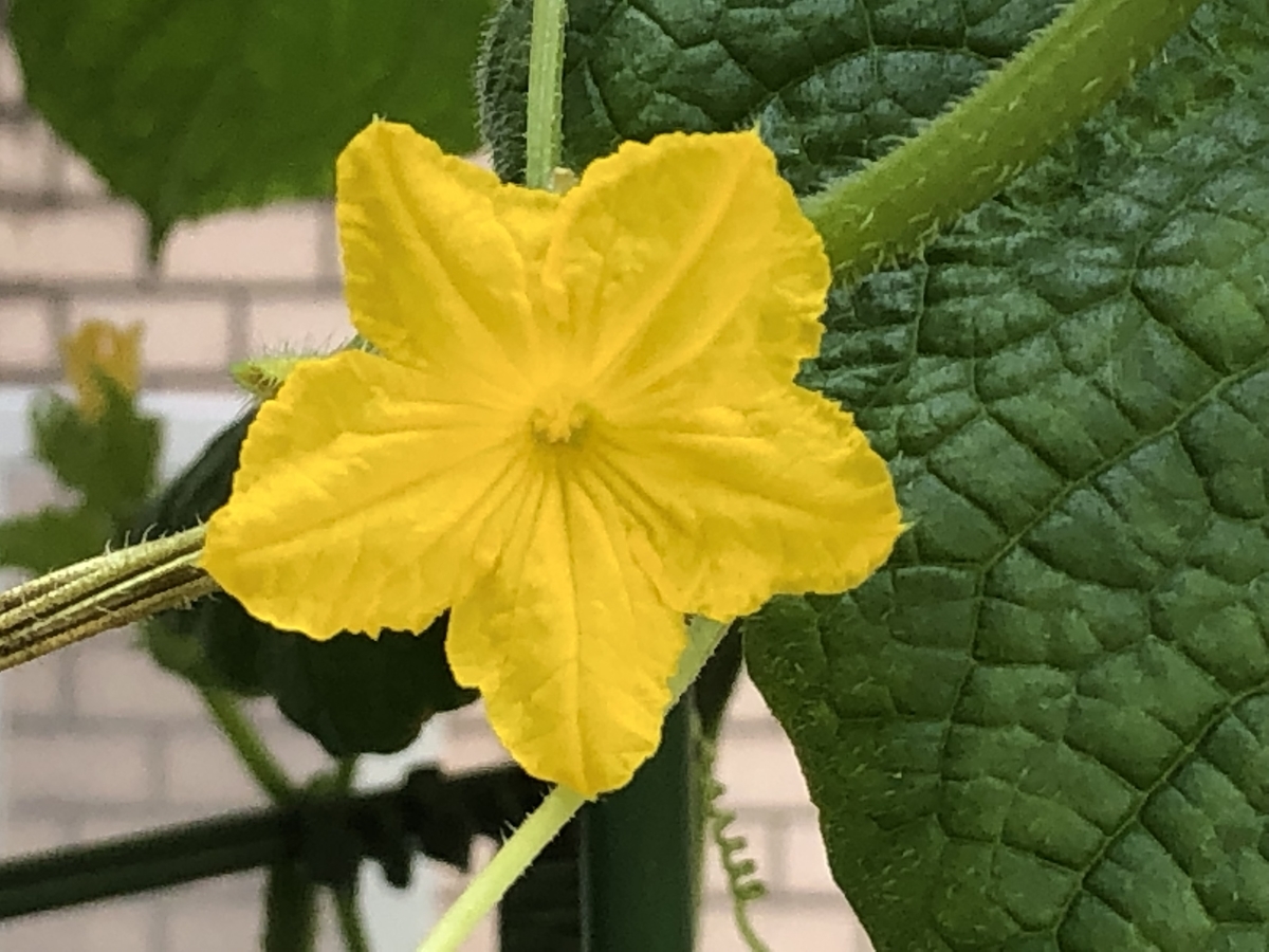 f:id:hideki-sansho:20190730220033j:plain