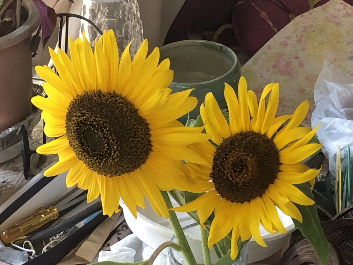 f:id:hideki-sansho:20190809210106j:plain f:id:hideki-sansho:20190809210106j:plain
