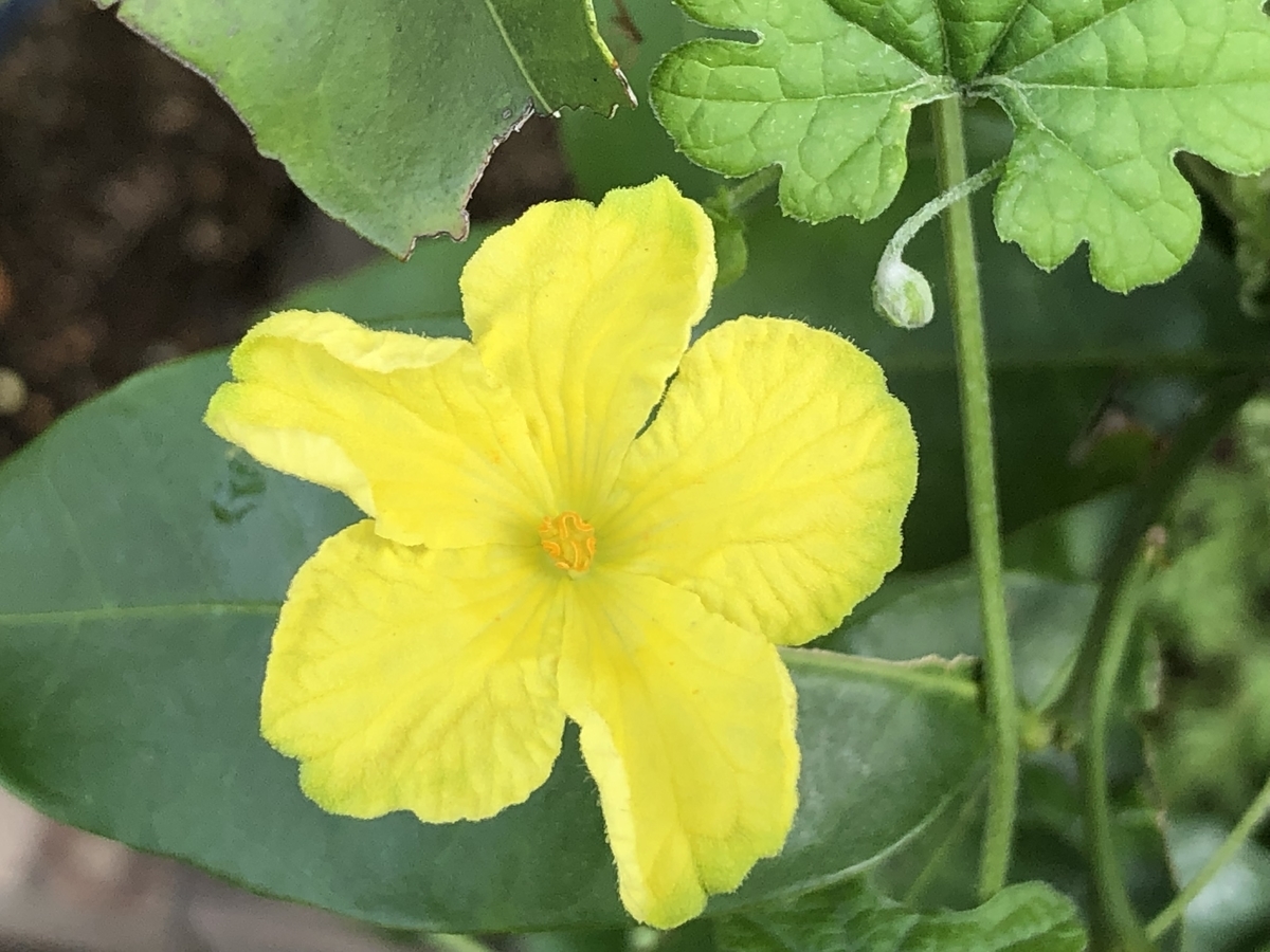 f:id:hideki-sansho:20190829201714j:plain f:id:hideki-sansho:20190829201714j:plain