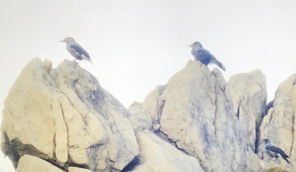 f:id:hideki-sansho:20190904151007j:plain