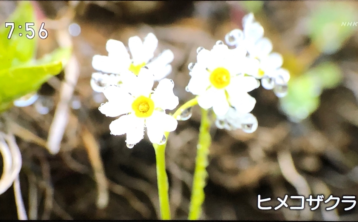 f:id:hideki-sansho:20190904151201j:plain f:id:hideki-sansho:20190904151201j:plain