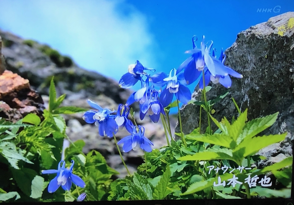 f:id:hideki-sansho:20190904151237j:plain f:id:hideki-sansho:20190904151237j:plain