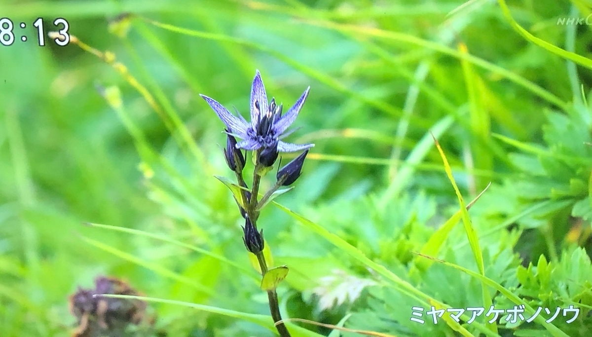 f:id:hideki-sansho:20190904151303j:plain f:id:hideki-sansho:20190904151303j:plain