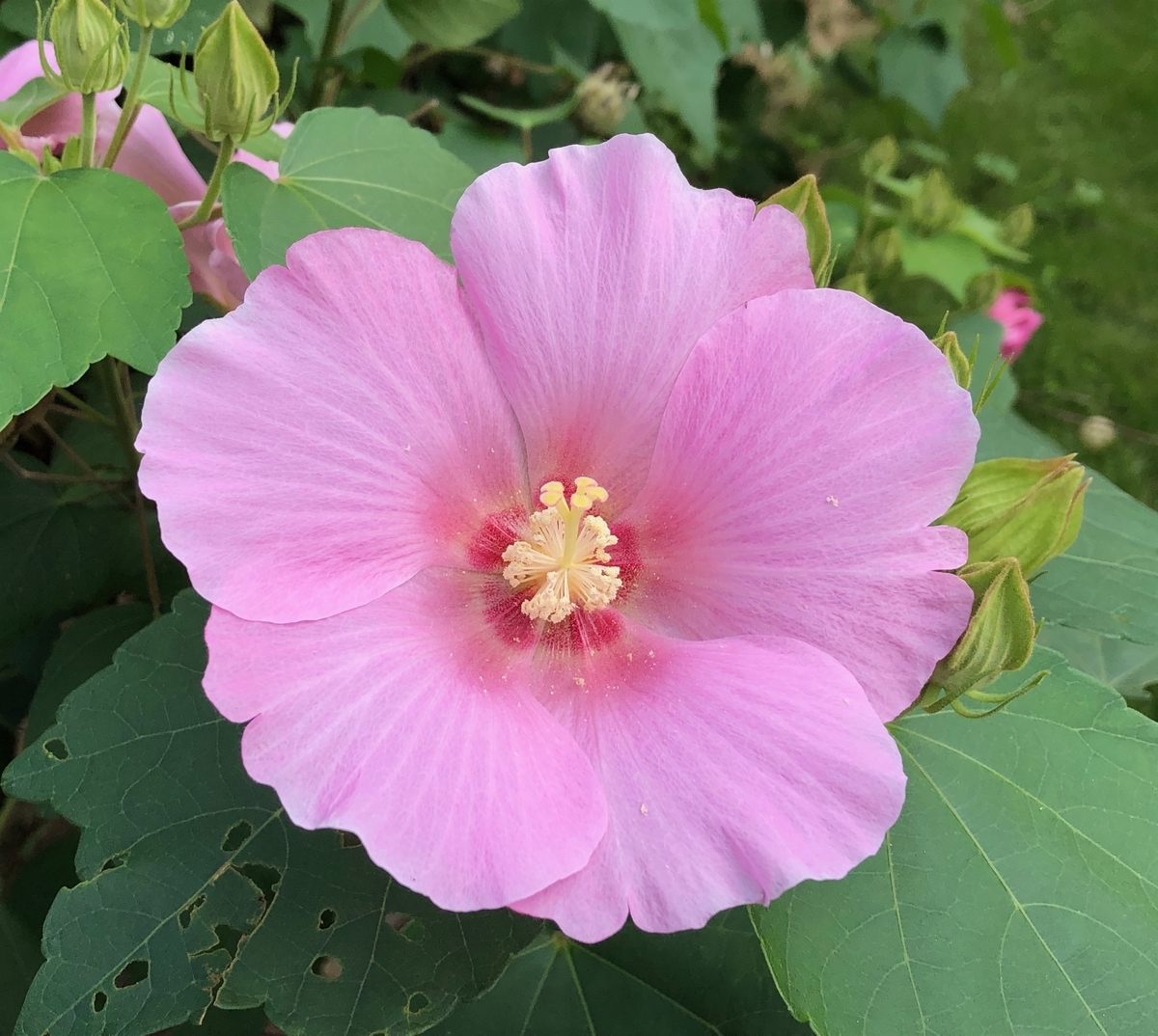 f:id:hideki-sansho:20190922105323j:plain f:id:hideki-sansho:20190922105323j:plain