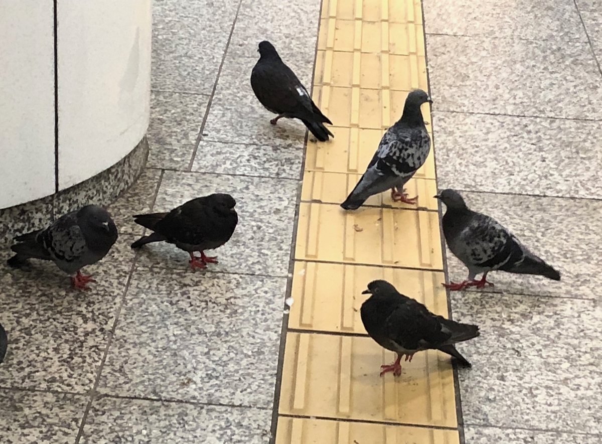 f:id:hideki-sansho:20190922105332j:plain f:id:hideki-sansho:20190922105332j:plain