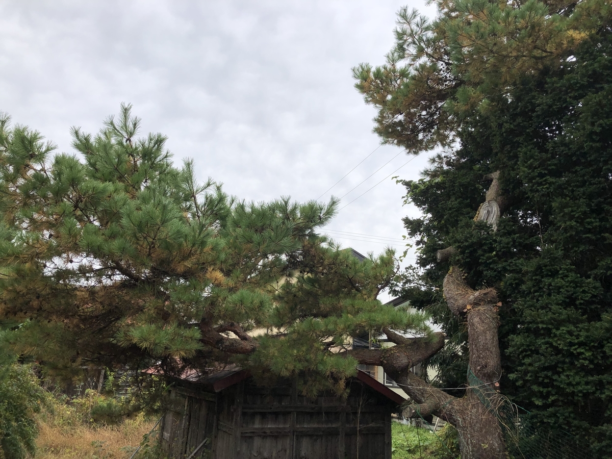 f:id:hideki-sansho:20191031164244j:plain f:id:hideki-sansho:20191031164244j:plain