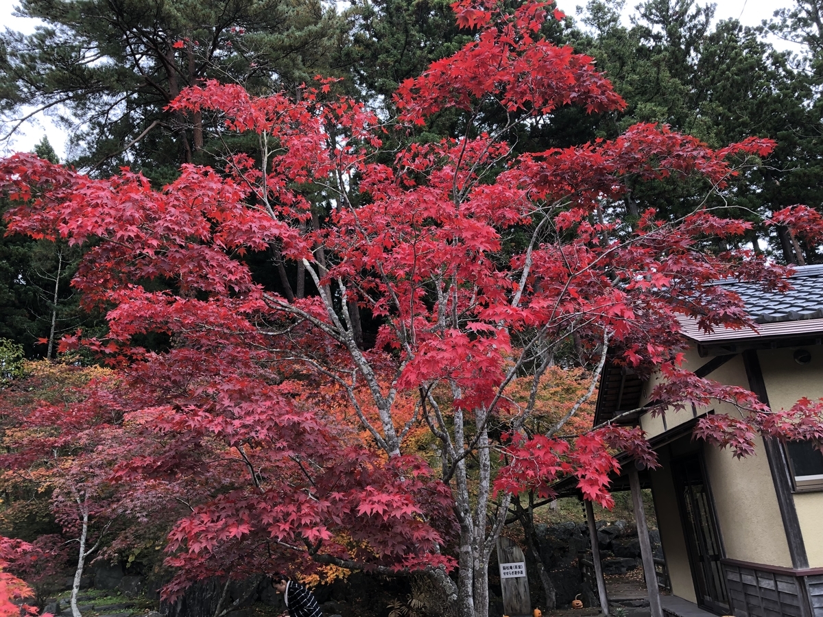 f:id:hideki-sansho:20191031164943j:plain f:id:hideki-sansho:20191031164943j:plain