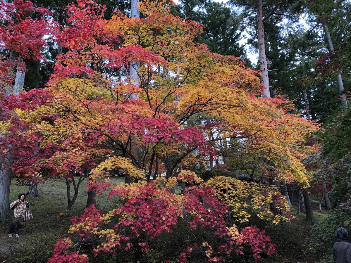 f:id:hideki-sansho:20191031165015j:plain f:id:hideki-sansho:20191031165015j:plain