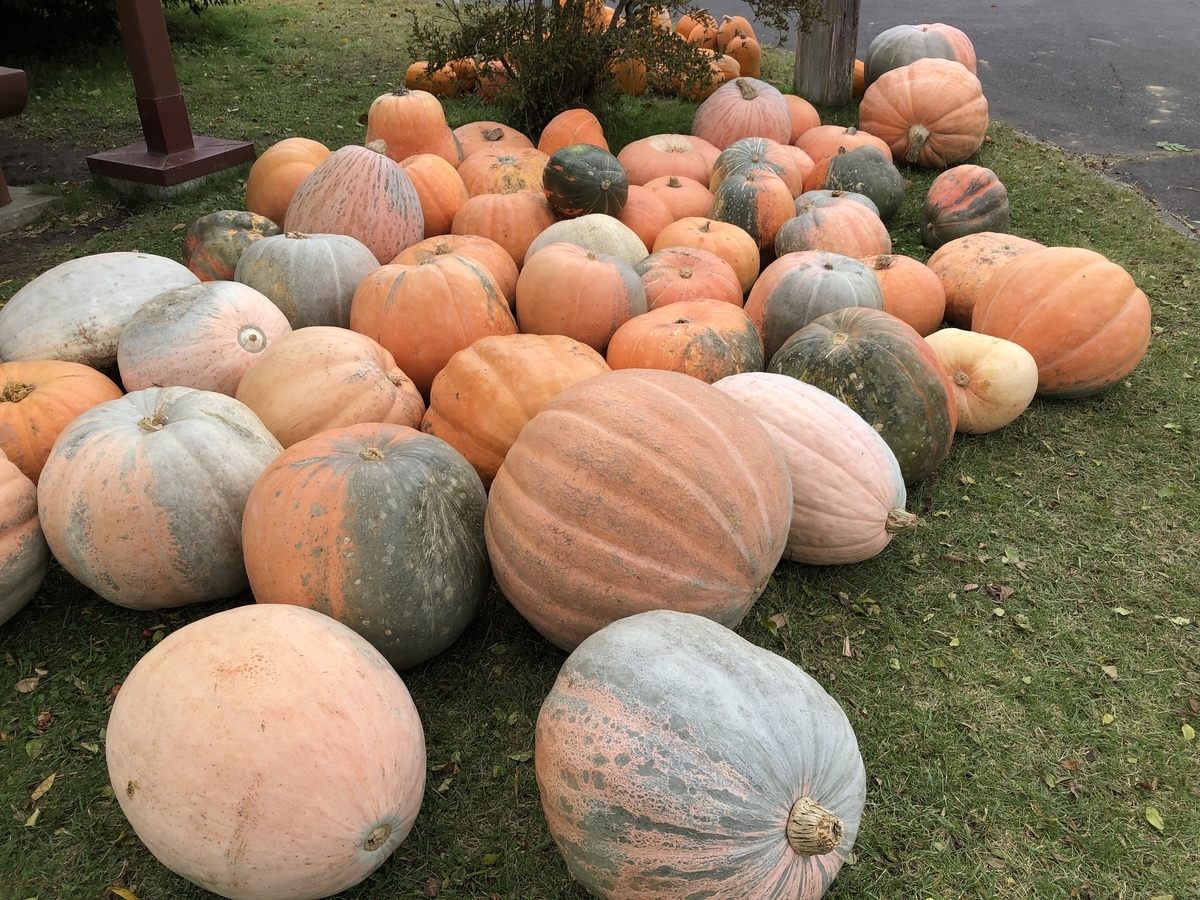 f:id:hideki-sansho:20191031165058j:plain f:id:hideki-sansho:20191031165058j:plain